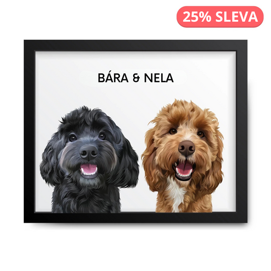 2 Mazlíčci
