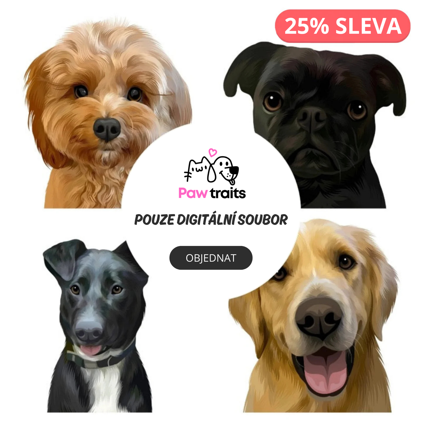 Pouze Digitální Portrét