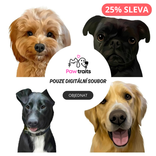 Pouze Digitální Portrét